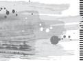 Alt Text for Image