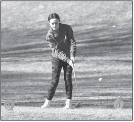Alt Text for Image