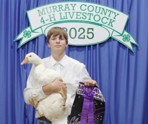 Edwin Nepp – Poultry – Pigeons, Geese, Rabbits – Market, Intermediate Showman