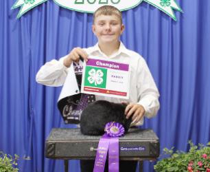 Otto Nyquist – Poultry – Junior Show- Henry Plaetz – Rabbits – Doe man