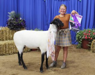 Brynn Baumgartner - Sheep – Lamb Lead – Junior, Sheep - Junior Showman, (3-5) Fashion Revue Court of Honor – Purchased