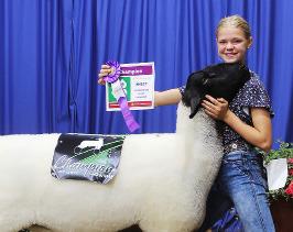 Kyra Baumgartner – Sheep -Breeding Ewe, Intermediate Showman, Clothing - (6-8) Purchased, Fashion Revue Court of Honor – Purchased, (6-8) Crafts