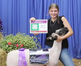Audrey Miller – Sheep – Market Lamb