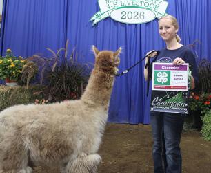 Kendra Gleis - Llama/Alpaca - Sr. Showmanship, 9+ Crafts, Creative Writing