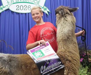 Colton Gunnink - Llama/Alpaca - Sr. Obstacle Course/Public Relations, Llama/Alpaca-Senior-Costume