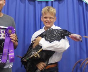 Otto Nyquist – Poultry - Turkeys