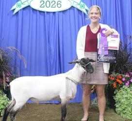 Joelle Hellewell – Sheep - Lamb Lead - Senior