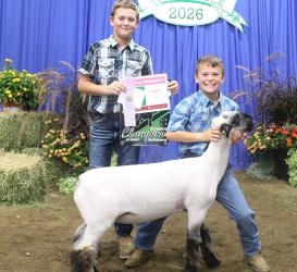 Landan Wahl – Sheep - Adopt-a-Lamb