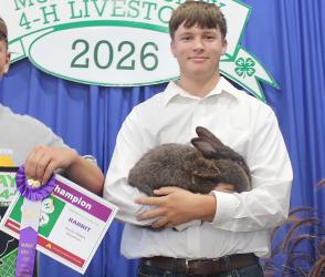 Edwin Nepp – Rabbits - Senior Showman