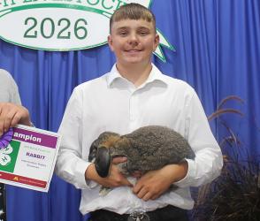 Henry Plaetz – Rabbits - Intermediate Showman, Mechanical Sciences