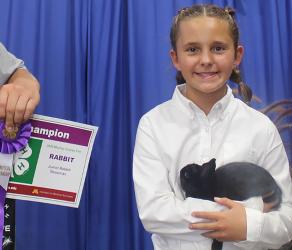 Lila Plaetz – Rabbits - Junior Showman, 3-5 Fine Arts, Photography-Elements