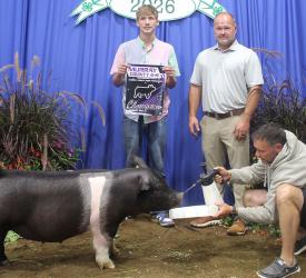 Danny Larson – Swine - Market Gilt