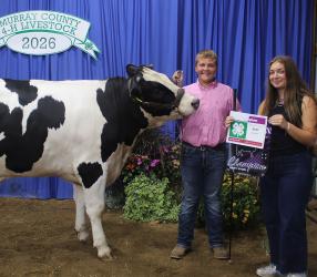 Devin Schaap - Dairy Steer