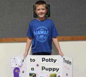 Vance Thooft - Pet, Cat or Dog Exhibits