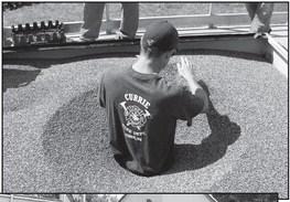 Alt Text for Image