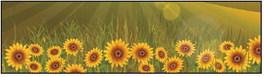 Alt Text for Image