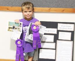 Teddy Konechne – Cake Decorating, Public Presentations