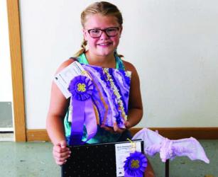 Brynn Baumgartner - Fine Arts, Scrapbooking