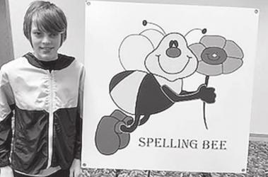 Alt Text for Image