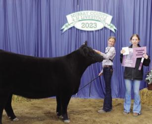 Jorja Holm - Beef - Breeding Heifer, Junior Showman
