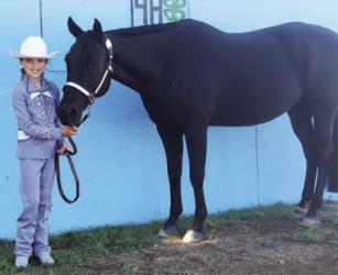 Quinn Royer - Horse - High Point Novice - Performance, Pet, Cat or Dog Exhibits