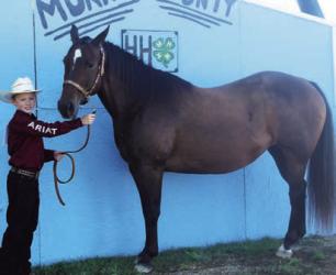 Jensen Grogan - Horse - High Point Novice - Games, Self-Determined