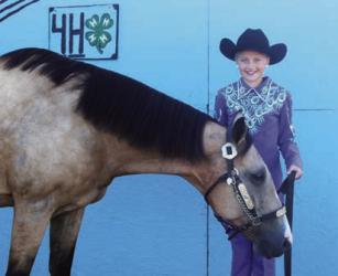 Jada Jackels - Horse - High Point Junior Performance, Cake Decorating