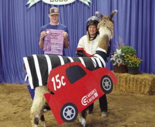 Colton Gunnick - Llama/Alpaca - Jr. Showmanship, Jr. - Costume