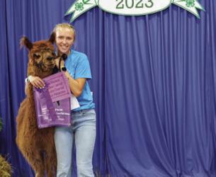 Lindsey Hause - Llama/Alpaca - Sr. Obstacle Course/Public Relations, Poultry - Ducks, Citizenship, Fashion Revue Court of Honor Clothes You Recycle, Youth Leadership