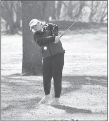 Alt Text for Image